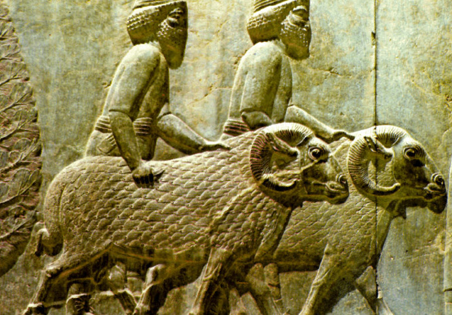 What was the economy of ancient Mesopotamia?